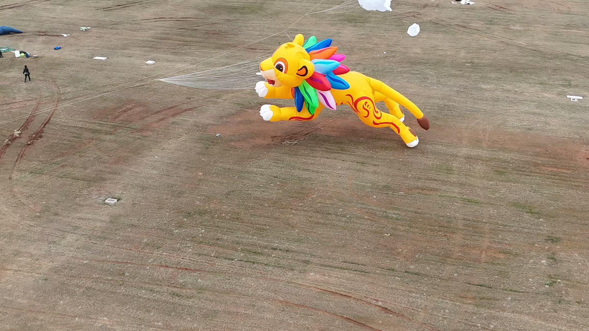 荆州市品牌风筝定制风筝加工 - 方案